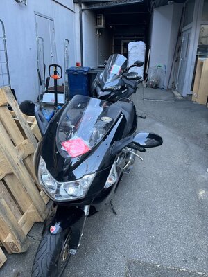 IMG_2365.jpeg