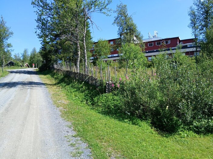 20250717_113139.jpg