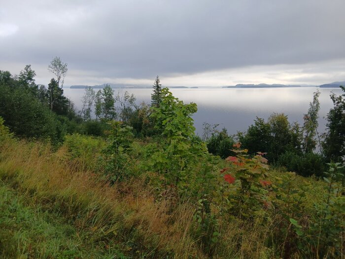20250830_080424.jpg
