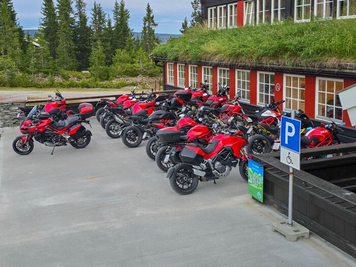 Desmodromene fjelltur-5.jpg