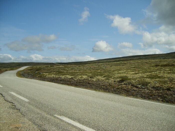 S6001473.JPG