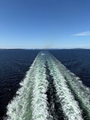 IMG_3928.jpeg