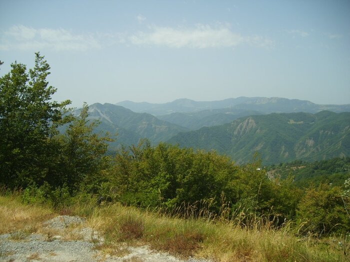 S6001520.JPG