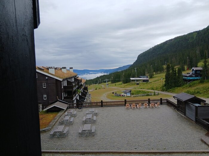 20260808_074301.jpg